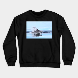 Dolphin calf Crewneck Sweatshirt